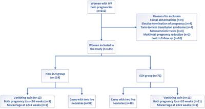 The risk factors and impact of subchorionic hematoma in the first trimester in IVF twin pregnancies: a prospective cohort study